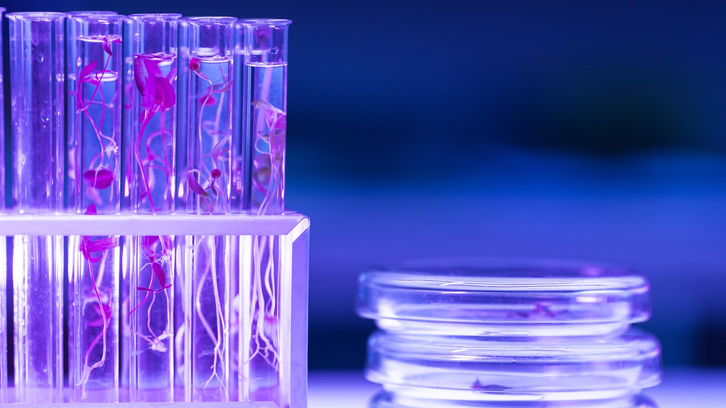Technologia diagnostyczna inPROBE rozwijana dla rynku wyrobów medycznych